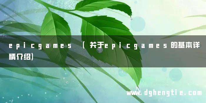 epicgames (关于epicgames的基本详情介绍)